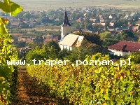 Tokaj to miasto położone w części północno-wschodniej Węgier,  u stóp Łysej Góry (Kopasz-hegy), na zboczach której uprawiana jest winorośl. Tokaj jest stolicą znan