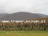Tokaj to miasto położone w części północno-wschodniej Węgier,  u stóp Łysej Góry (Kopasz-hegy), na zboczach której uprawiana jest winorośl. Tokaj jest stolicą znan
