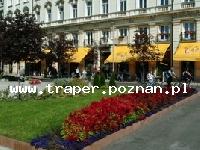 Hotel Raba znajduje się w śródmieściu Gyor, w pobliżu głównej drogi Wiedeń-Budapeszt. W hotelu znajduje się Restauracja i Piwiarnia Royal Belga. Węgry