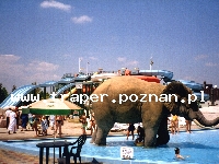 Obozy-Węgry-Hajduszoboszló