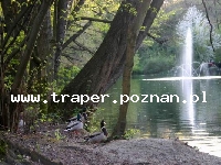 MiskolcTapolca jest położone w północno-wschodniej części Węgier blisko granicy ze Słowacją u podnóża Gór Bukowych, 180 km od Budapesztu. W Miskolctapolcy znajduje się j