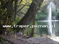 MiskolcTapolca jest położone w północno-wschodniej części Węgier blisko granicy ze Słowacją u podnóża Gór Bukowych, 180 km od Budapesztu. W Miskolctapolcy znajduje się j