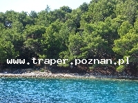 Wyspa Lastovo położona na południu Chorwacji w Dalmacji jest jedną z najbardziej oddalonych od stałego lądu i wśród najdalej na południe położonego archipelagu wysp. Z przyjemnym łag