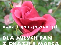 100 Rocznica Wybuchu Powstania Wielkopolskiego w Poznaniu PolskaWielkopolanie  jak co roku obchodzą wielkie święto udanego Powstania Wielkopolskiego,  jednego z nielicznych zakończonych sukcesem. 