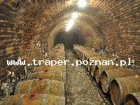 Villany to miejscowość słynąca z wybornych czerwonych win, położona jest na stokach wzgórz Villány, około 20 km od Pecsu, zyskała zaszczytny tytuł Miasta Wina i Winnej Latorośl