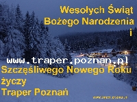 100 Rocznica Wybuchu Powstania Wielkopolskiego w Poznaniu PolskaWielkopolanie  jak co roku obchodzą wielkie święto udanego Powstania Wielkopolskiego,  jednego z nielicznych zakończonych sukcesem. 