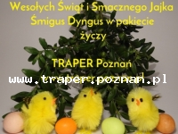 100 Rocznica Wybuchu Powstania Wielkopolskiego w Poznaniu PolskaWielkopolanie  jak co roku obchodzą wielkie święto udanego Powstania Wielkopolskiego,  jednego z nielicznych zakończonych sukcesem. 