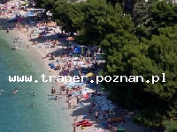 Podgora jest położona w południowej części Chorwacji, w Dalmacji, 10 km od Makarskiej. Znajduje się na Riwierze Makarskiej. Na turystów czekają malownicze plaże, krystalicznie czysta wo