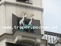 Weekendy-Polska-Poznań