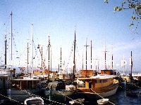 Rijeka w Chorwacji to duże miasto portowe na północy chorwackiego wybrzeża Adriatyku. W pobliżu jest Półwysep Istria oraz Wyspa Krka.