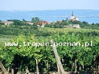 Balaton to największe jezioro w Europie Środkowej. Latem szybko się nagrzewa do temperatury 21-28°C. Średnia głębokość 4 m. Południowy brzeg jest płytszy i można spacerować daleko w je