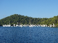 Korcula - wyspa słońca, wina i bogatej historii, to najbardziej śródziemnomorska wyspa Dalmacji, z niej pochodził Marco Polo. Miasteczko Korcula rozwijało się przez wiele lat. Do dzisiaj 