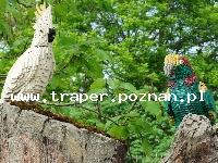Legoland w Gunzburg położony jest w połowie drogi między Stuttgartem a Monachium. Najpiękniejszymi budynkami Legolandu są Zamek Neuschwanstein, Monachium stadion Allianz Arena, wieżowce we Fran